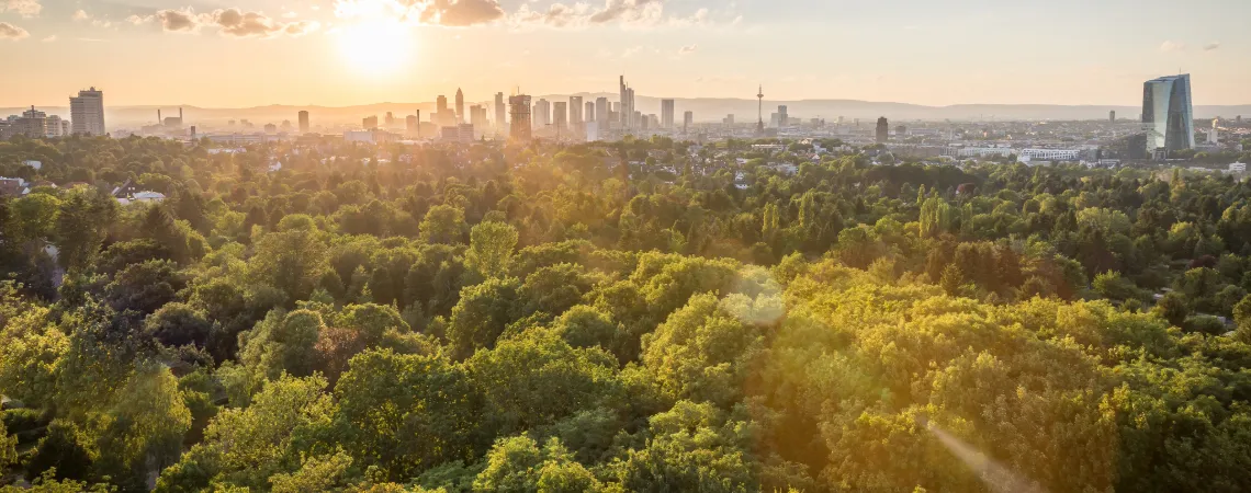 Největší městský les v Německu