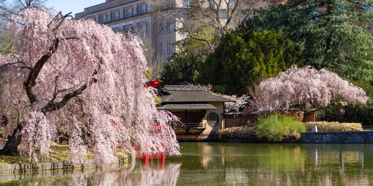 Brooklyn Botanic Garden