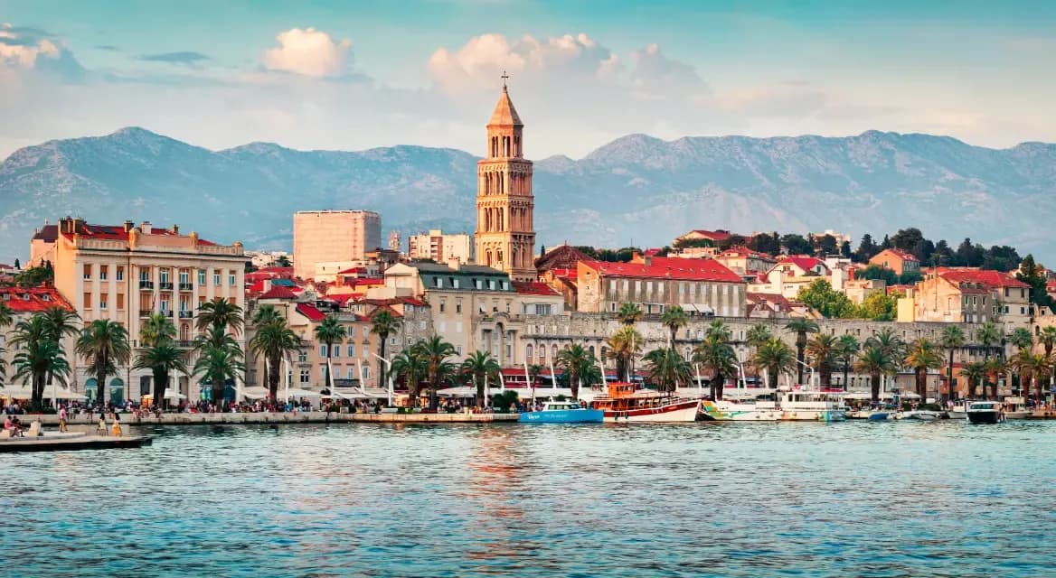Split 1168x640.webp