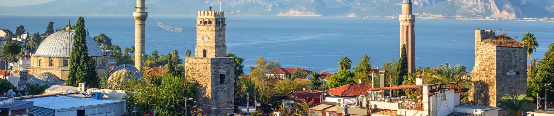banner-image