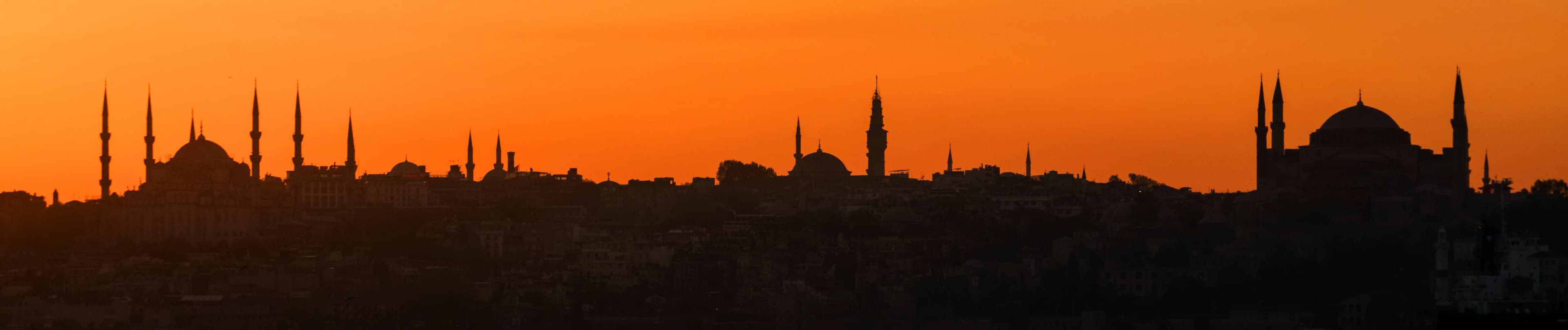 banner-image