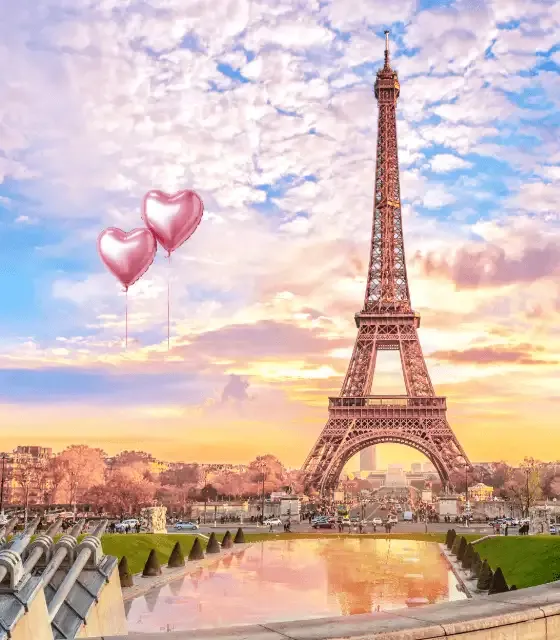 Untitled-1 (15) (1).webp