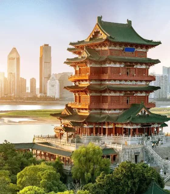 Untitled-2 (5) (1).webp