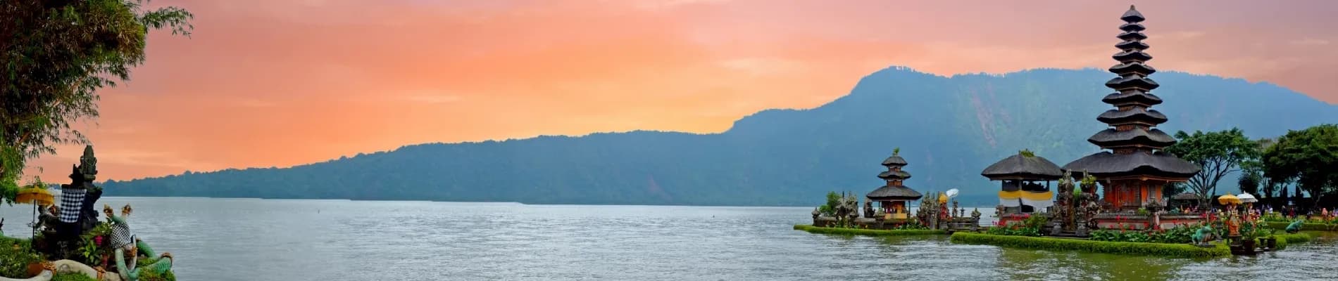 banner-image