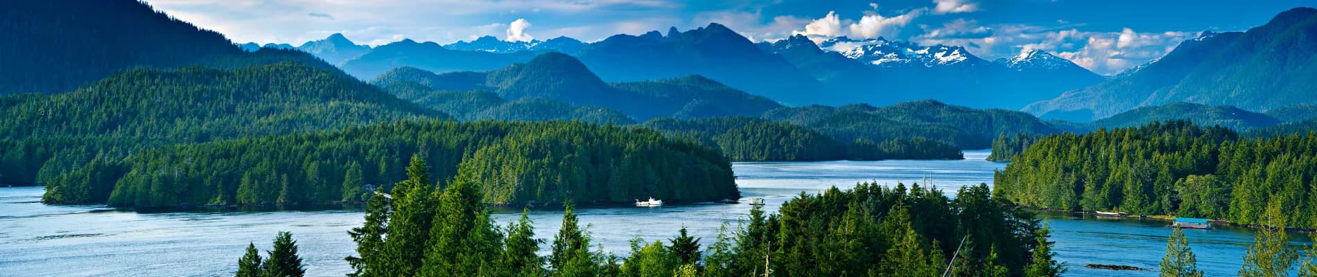 Tofino