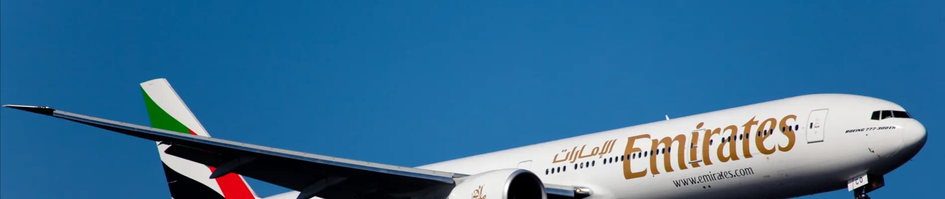 banner-image