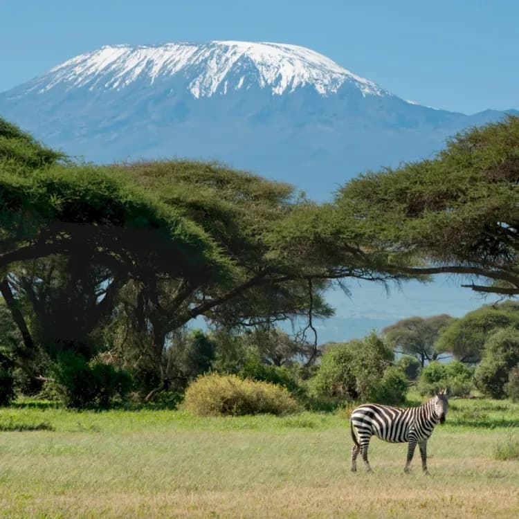 Tanzanie