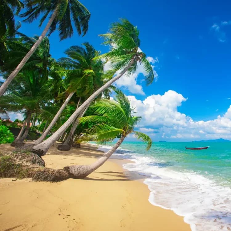 Koh Samui