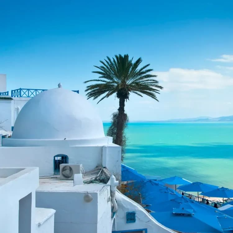 Tunis
