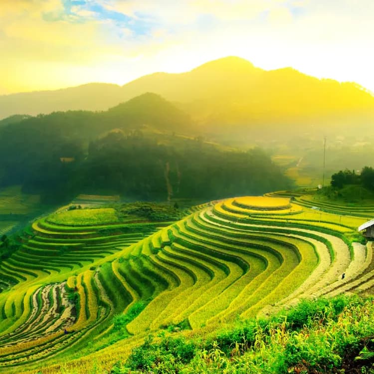 Vietnam