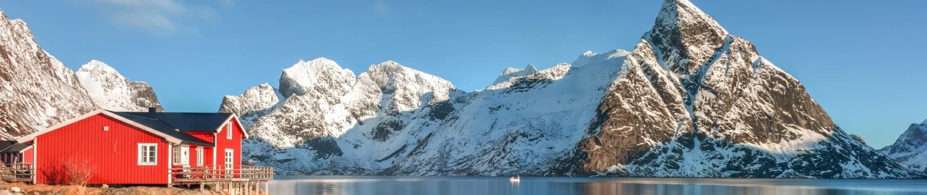 banner-image