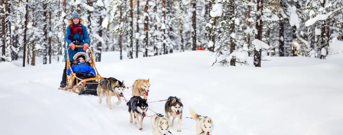 Jízda se psím spřežením