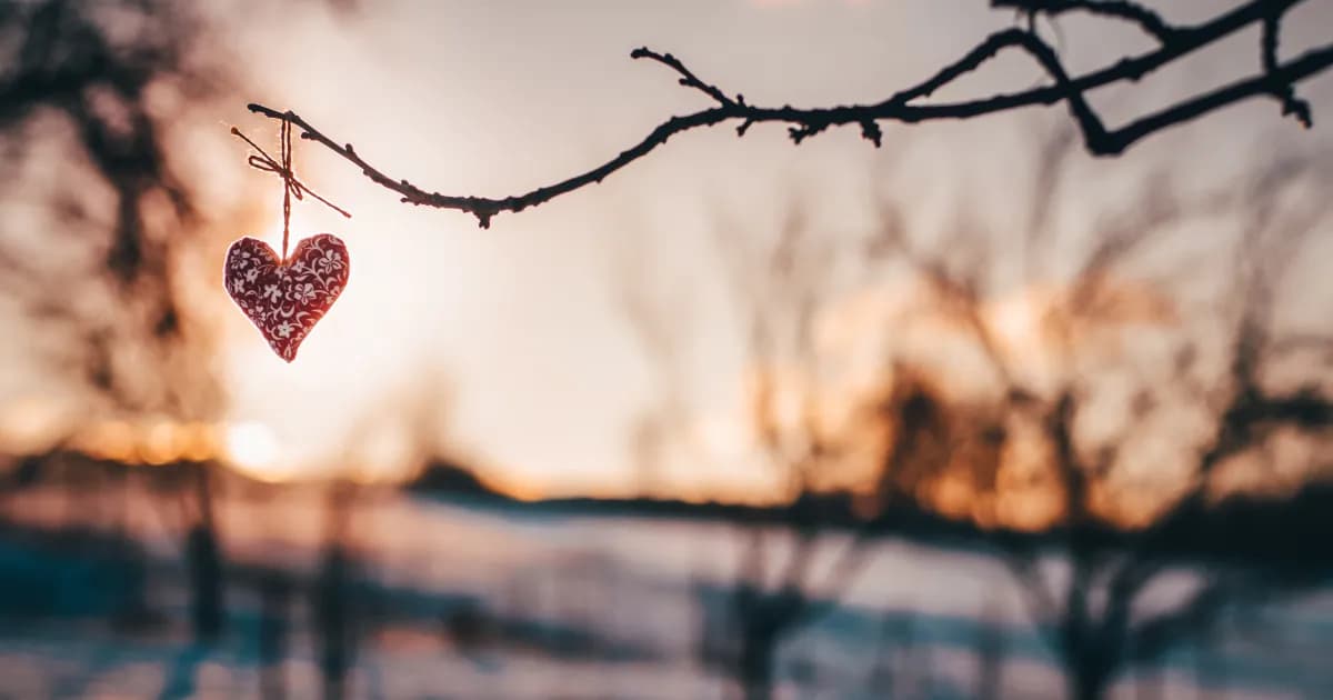 Kam letět v únoru?