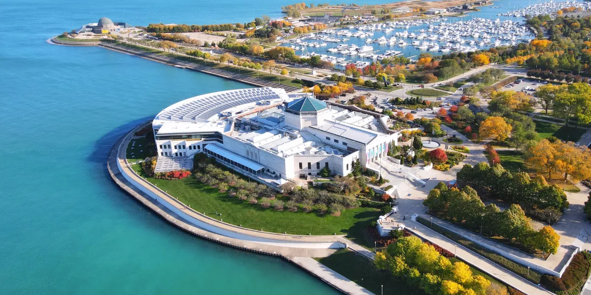 Shedd Aquarium Shedd Aquarium