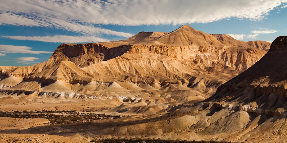 Negevská poušť Negevská poušť