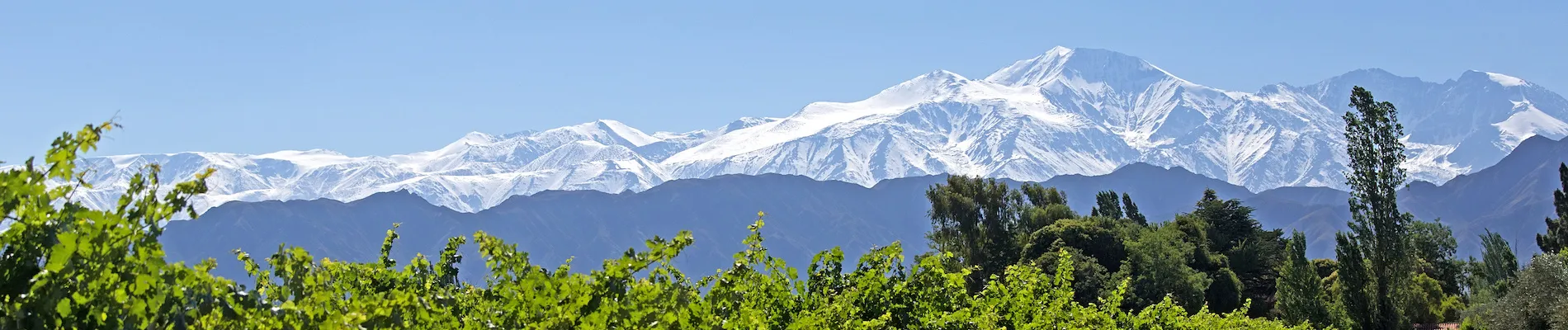 Lujan de Cuyo, Andy Lujan de Cuyo, Andy