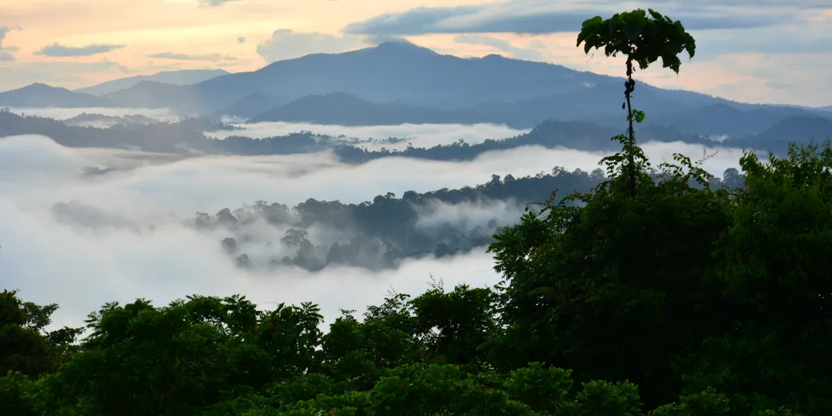 Návštěva ostrova Borneo Návštěva ostrova Borneo
