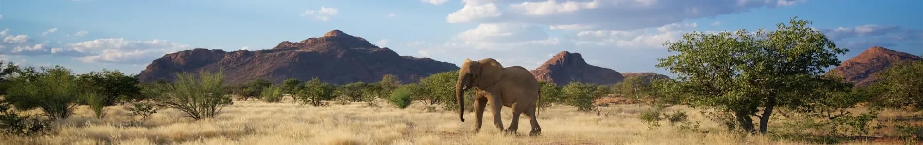 Délka letu do Namibie