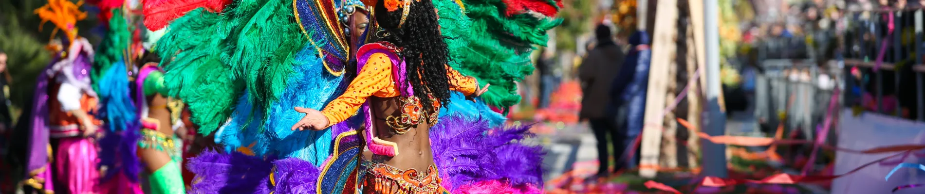 Karneval v Riu Karneval v Riu