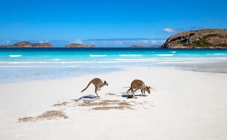 Austrálie