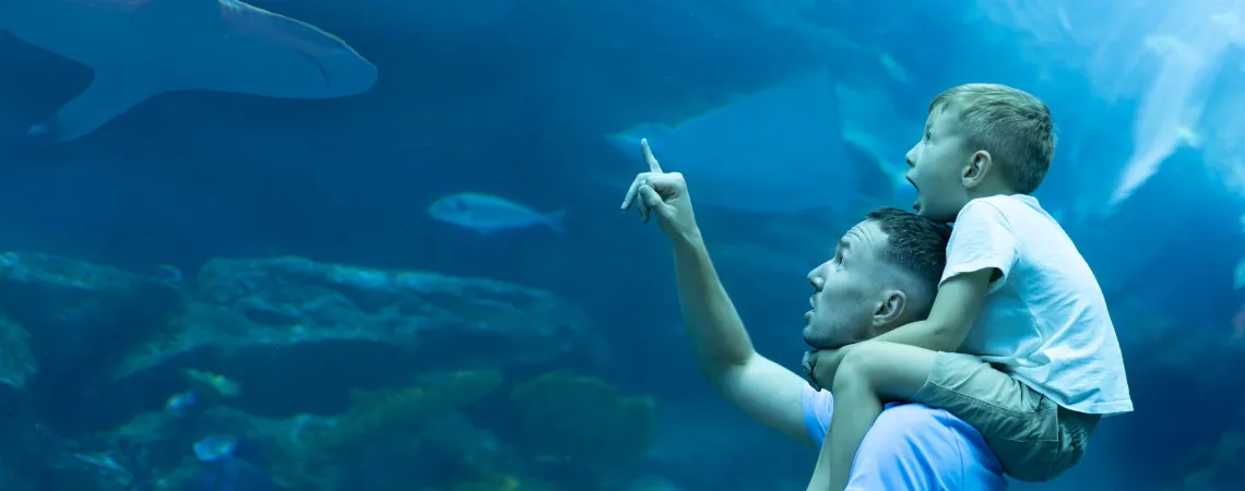 Dubajské akvárium Dubajské akvárium