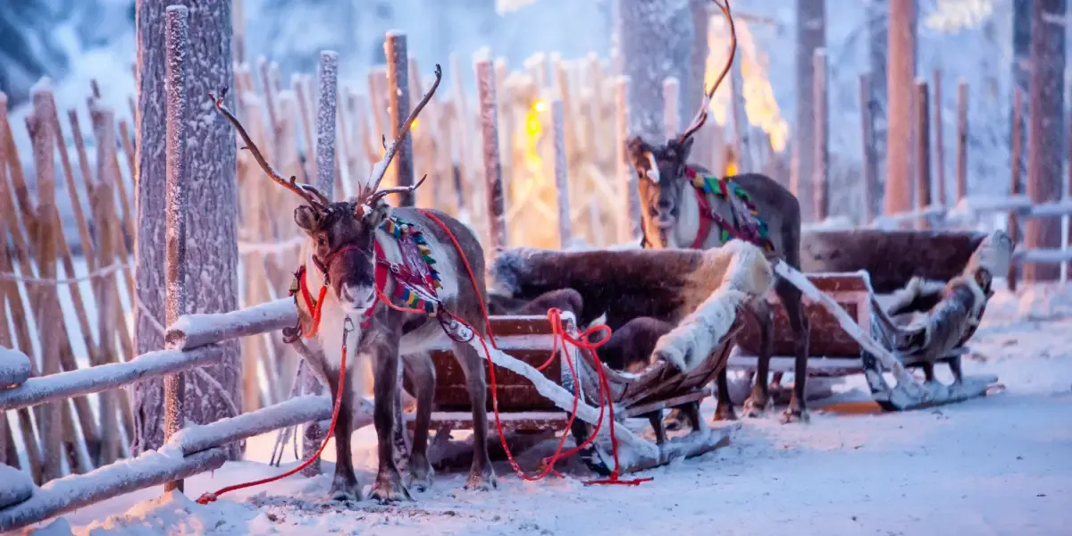 Nová nadílka letenek ze Severu na vás čeká!  Nová nadílka letenek ze Severu na vás čeká!
