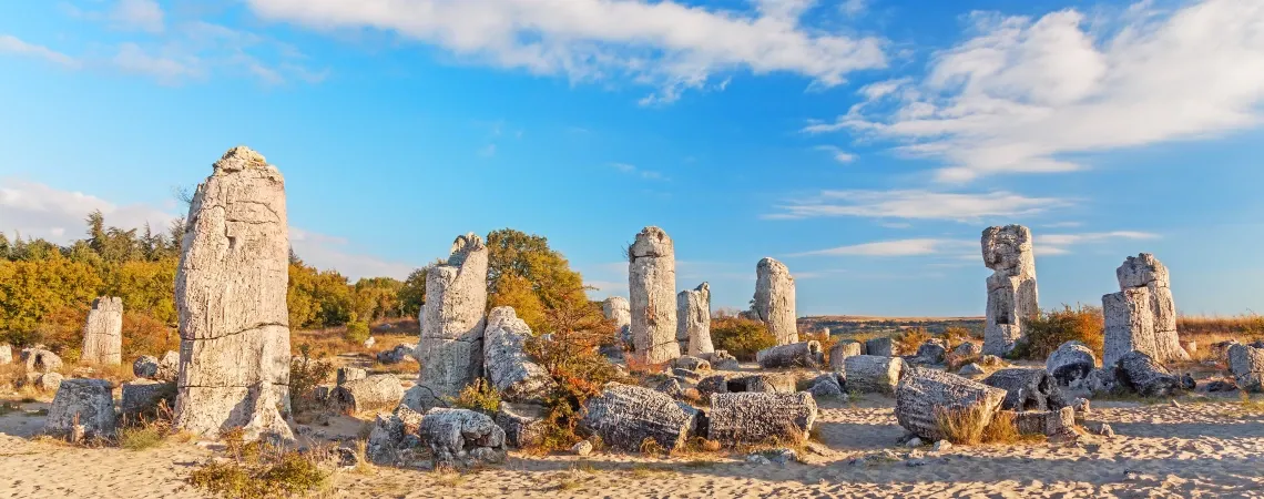 Kamenný les Kamenný les