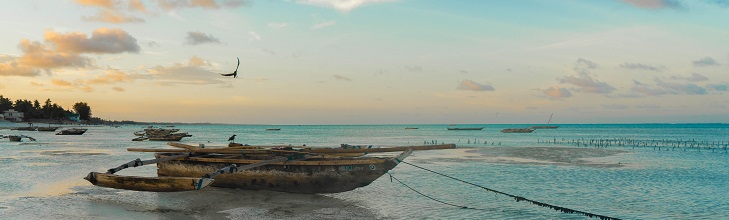 729x220_Zanzibar