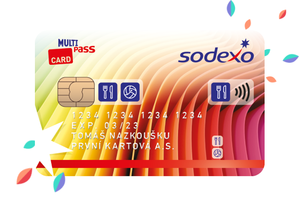 Multi Pass card